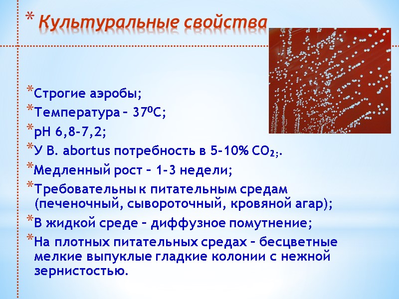 Культуральные свойства Строгие аэробы;  Температура – 370С; рН 6,8-7,2; У B. abortus потребность